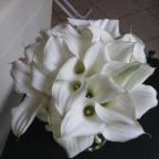 aprile 2013 013