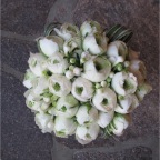 novembre 2012 353